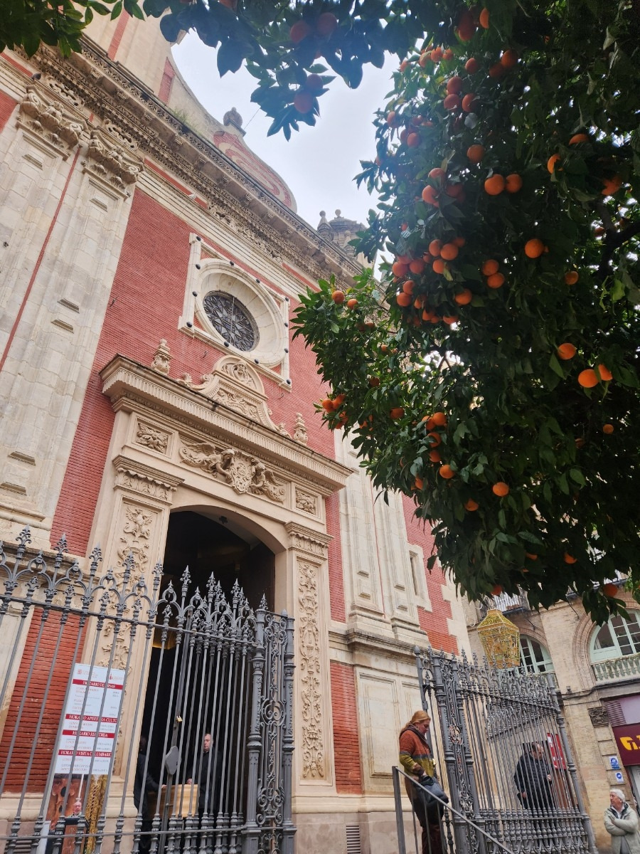 살바도르 장례2.jpg