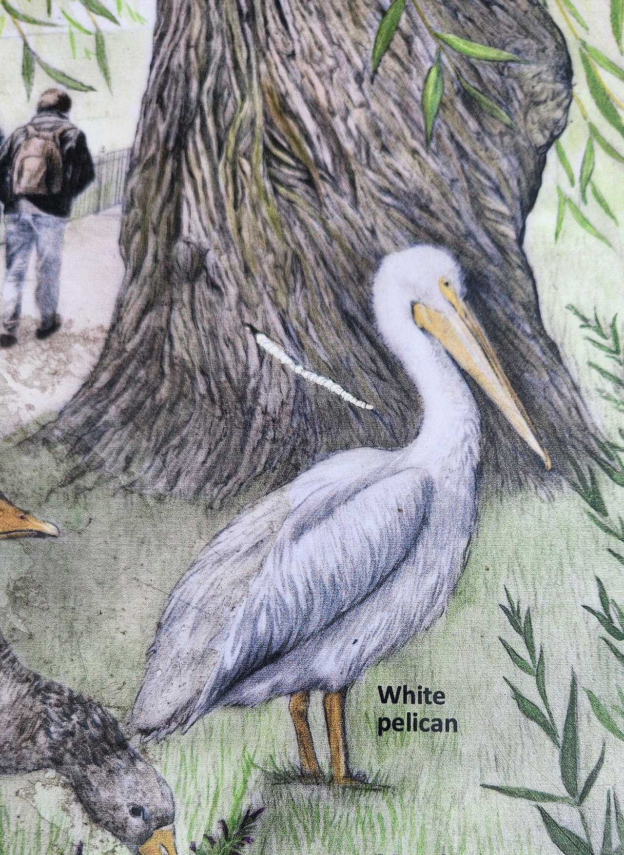 버킹엄 궁전4.jpg