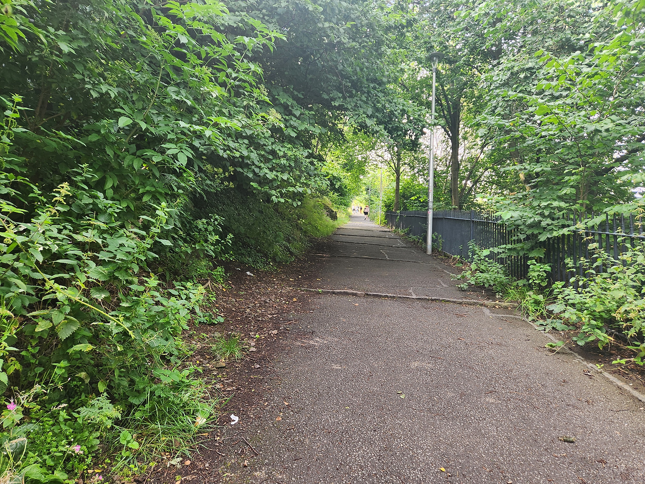 칼튼힐 오르막.jpg