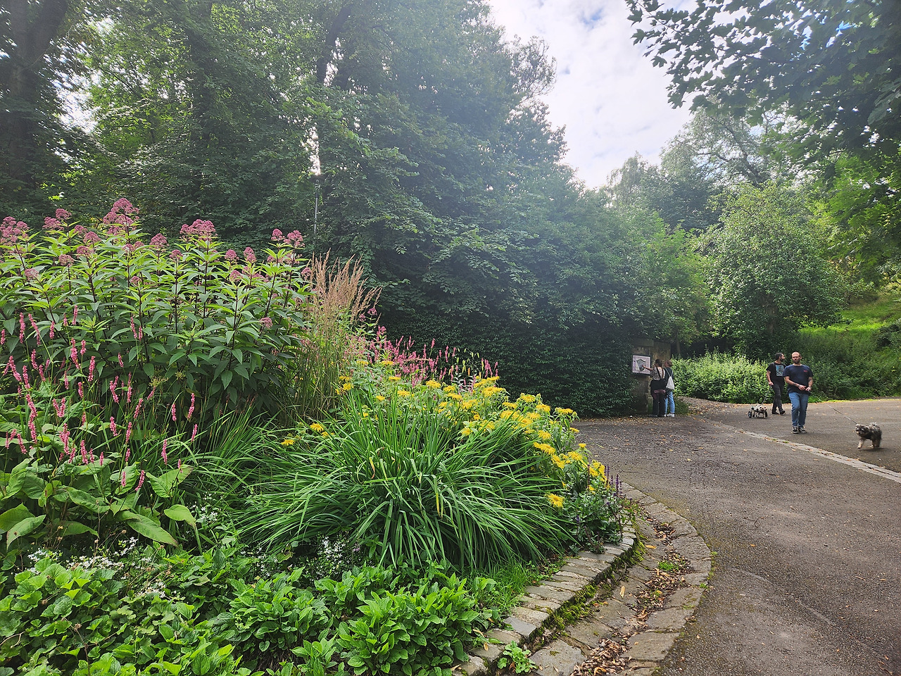 칼튼힐 가는 길.jpg