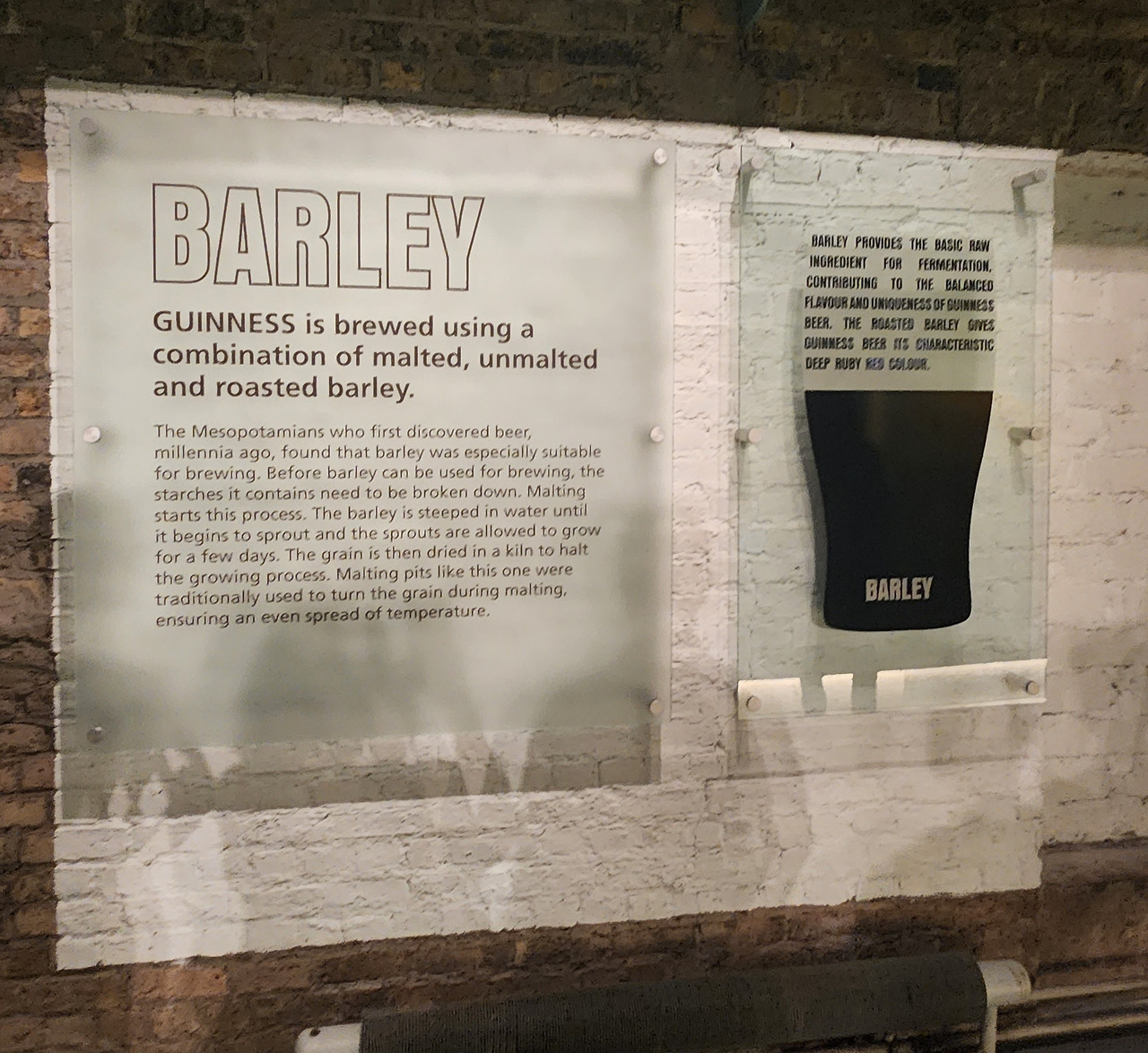 기네스 맥주 투어3-보리.jpg
