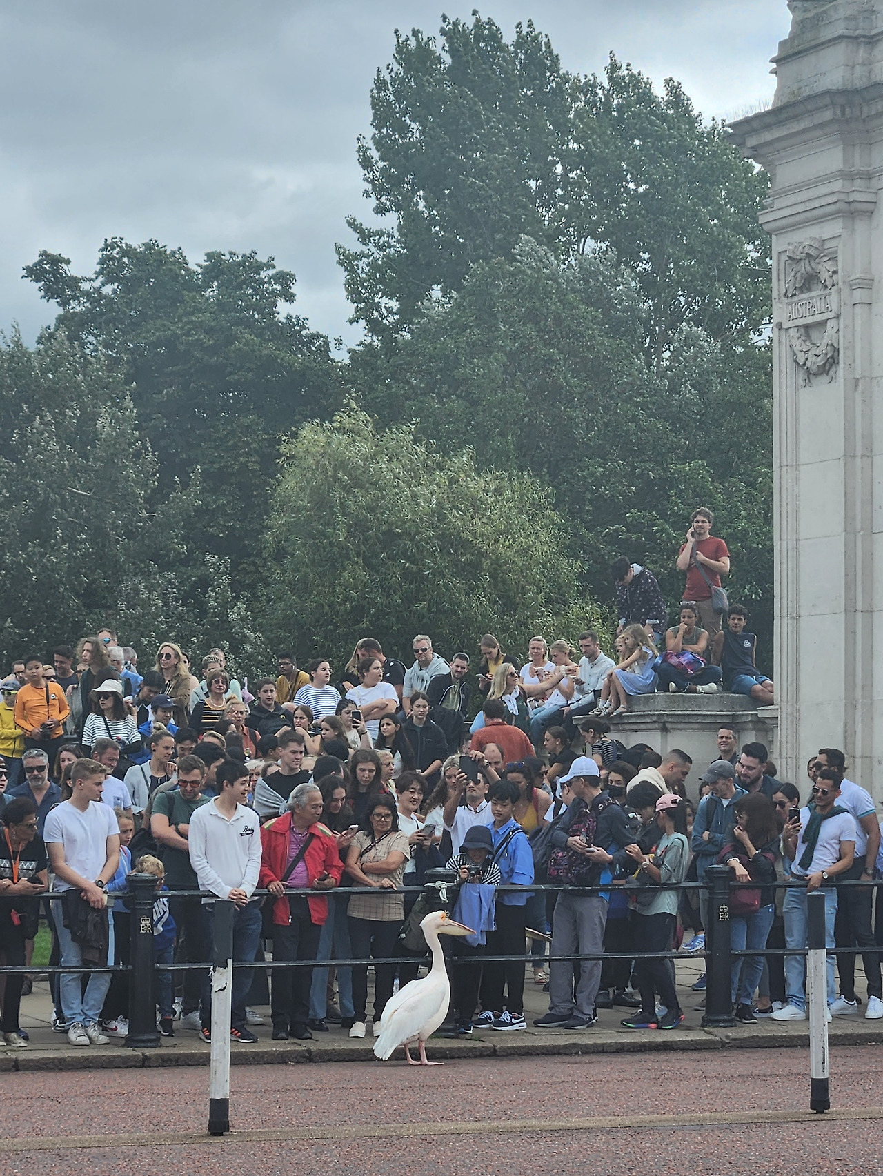 버킹엄 궁전2.jpg