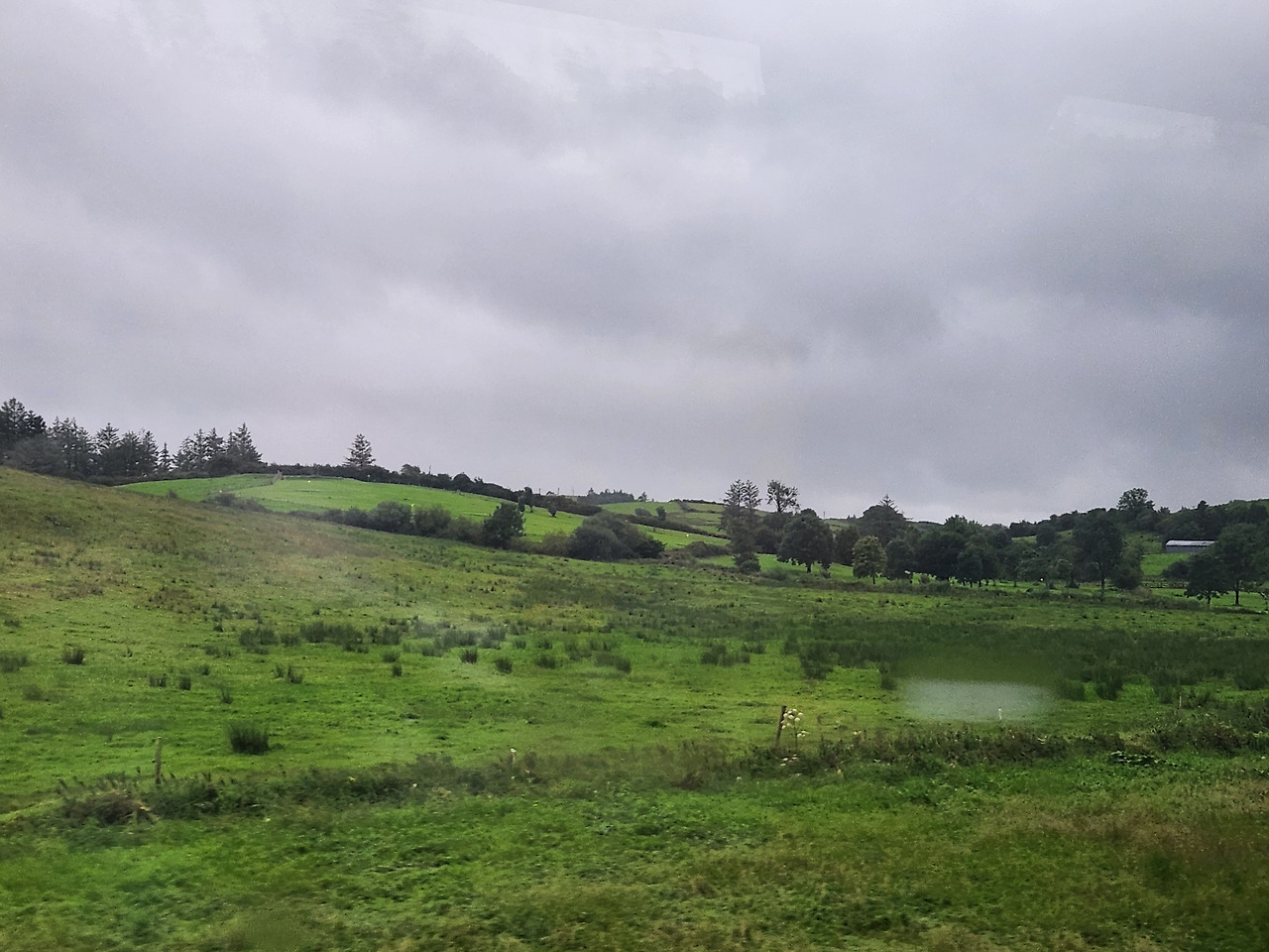 버스는 달리고.jpg