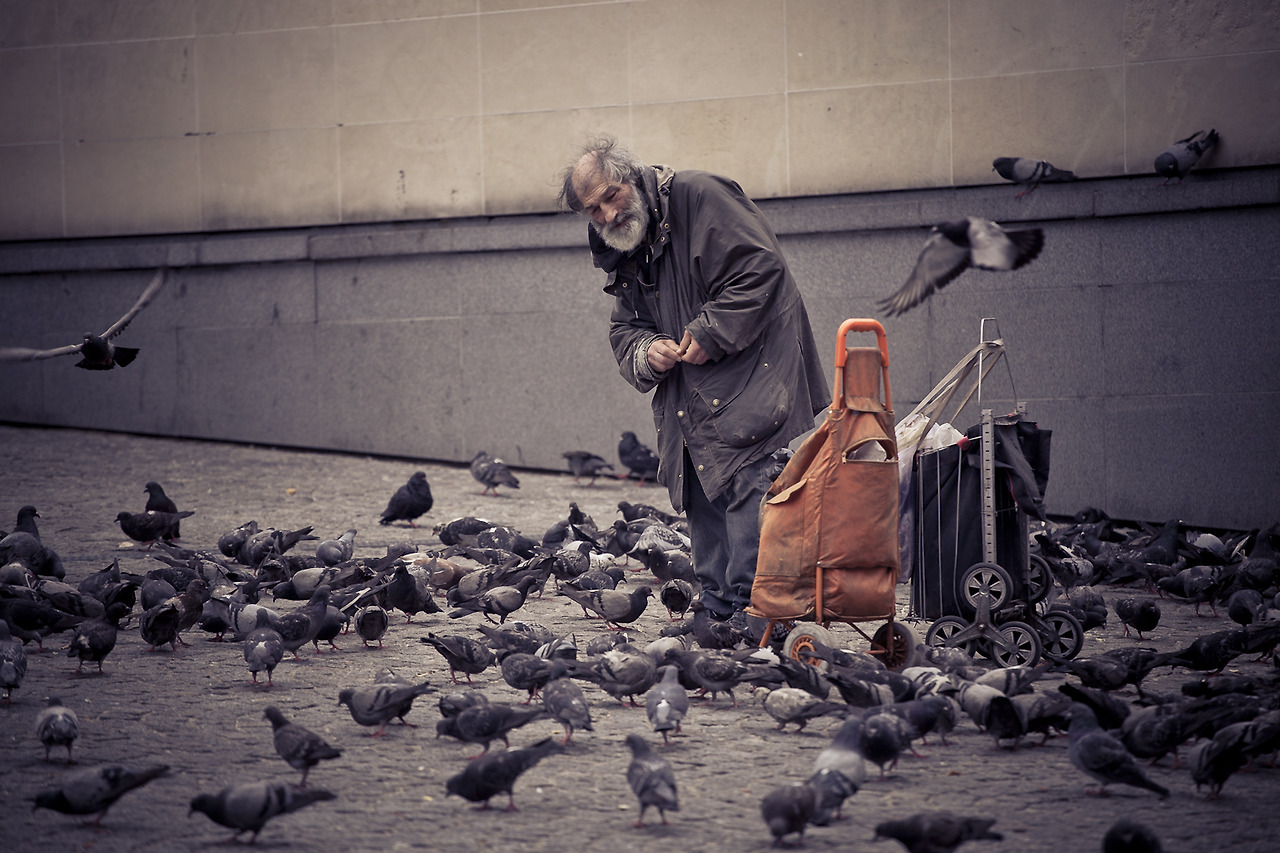 1번녹색벽 가로_IMG_2145.jpg