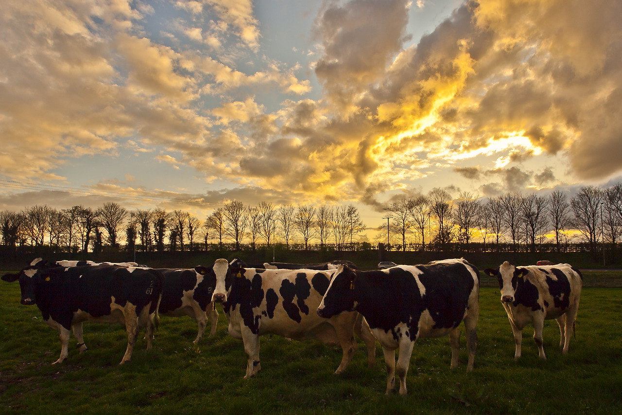 입구A4_IMG_7345 (2).jpg