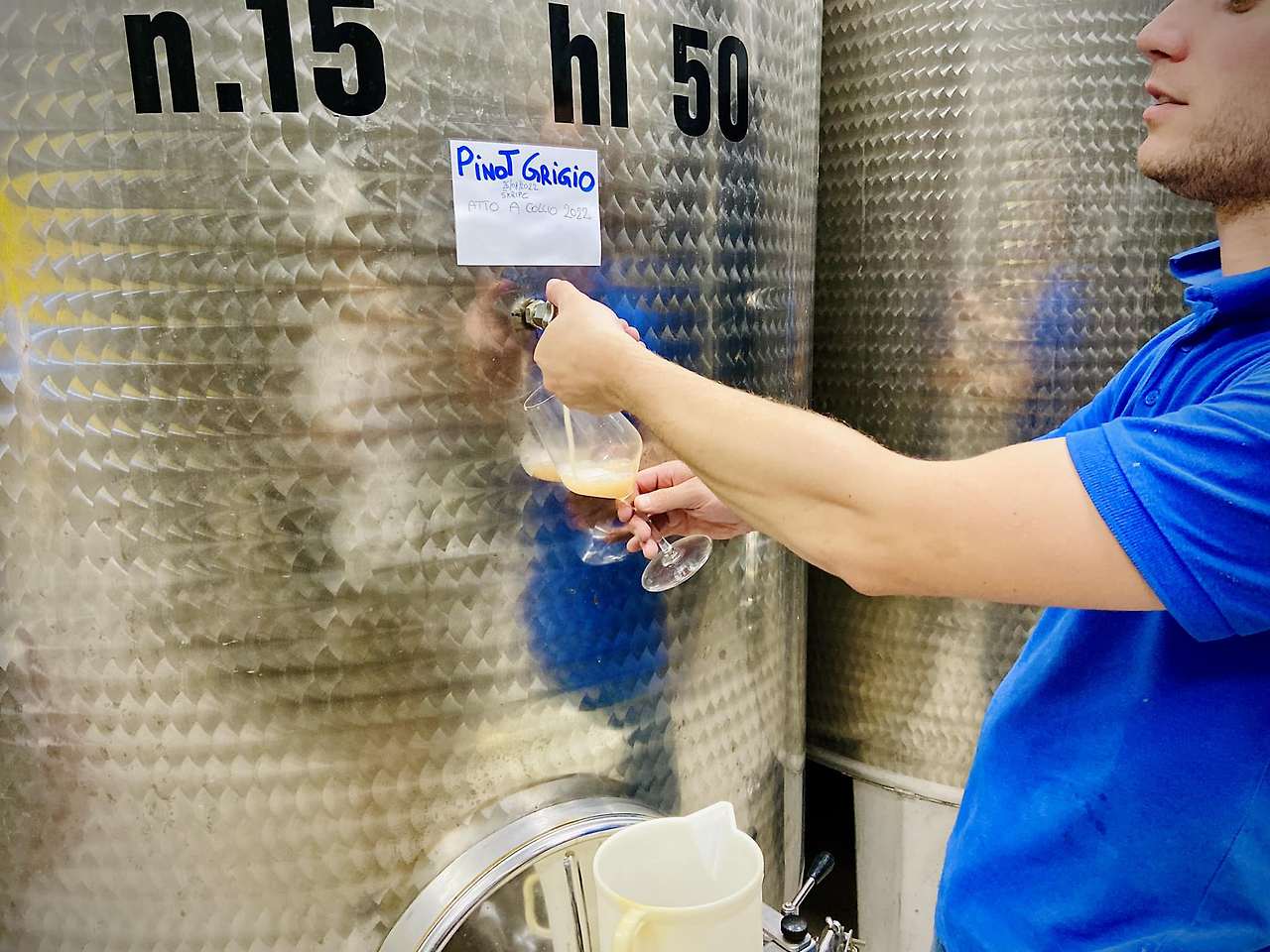 304953251_10229501065856046_286930909345152431_n (1).jpg