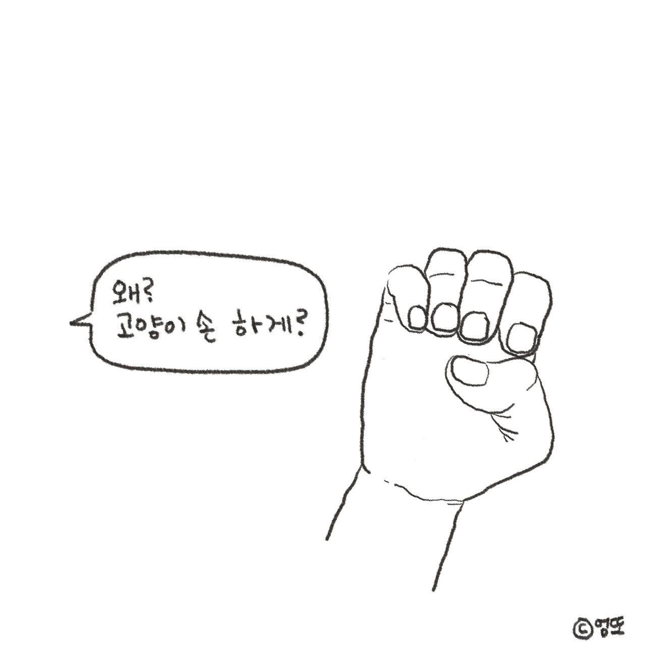 카지노 가입 쿠폰