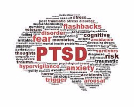 다운로드 (11).jpg