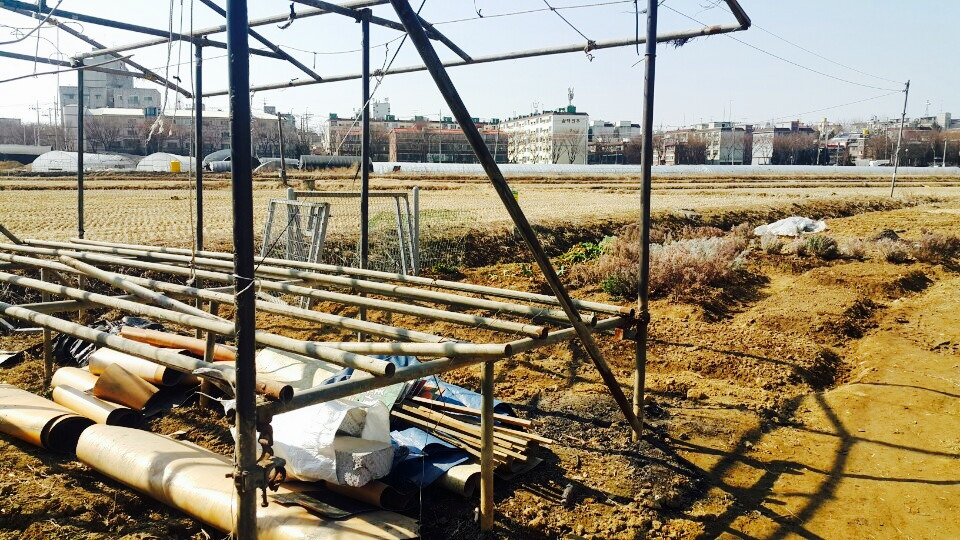 FullSizeRender (1).jpg