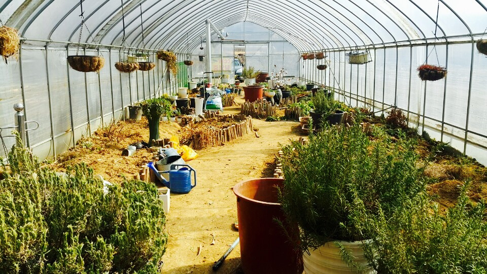 FullSizeRender 10.jpg