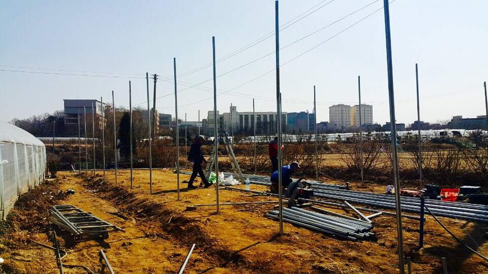 FullSizeRender 7.jpg