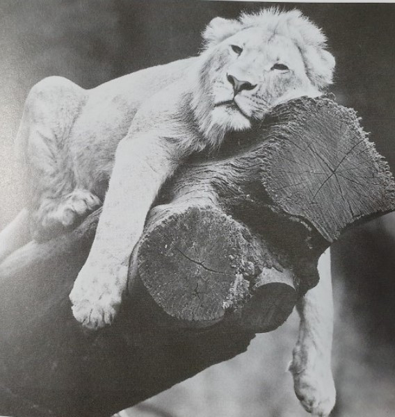 화면 캡처 2022-05-12 160358.jpg