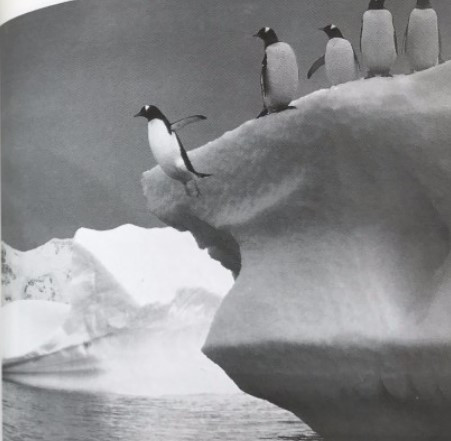 화면 캡처 2022-05-12 160721.jpg