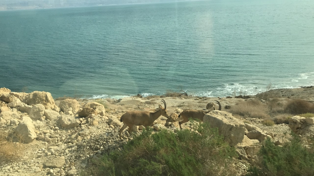 이스라엘 영성순례-day+3-17686970243.jpg