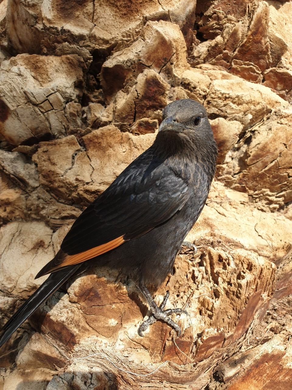 이스라엘 영성순례-여행속 사진 사해,마사다,엔게디,쿰란,요단강 세레터-17534187741.jpg