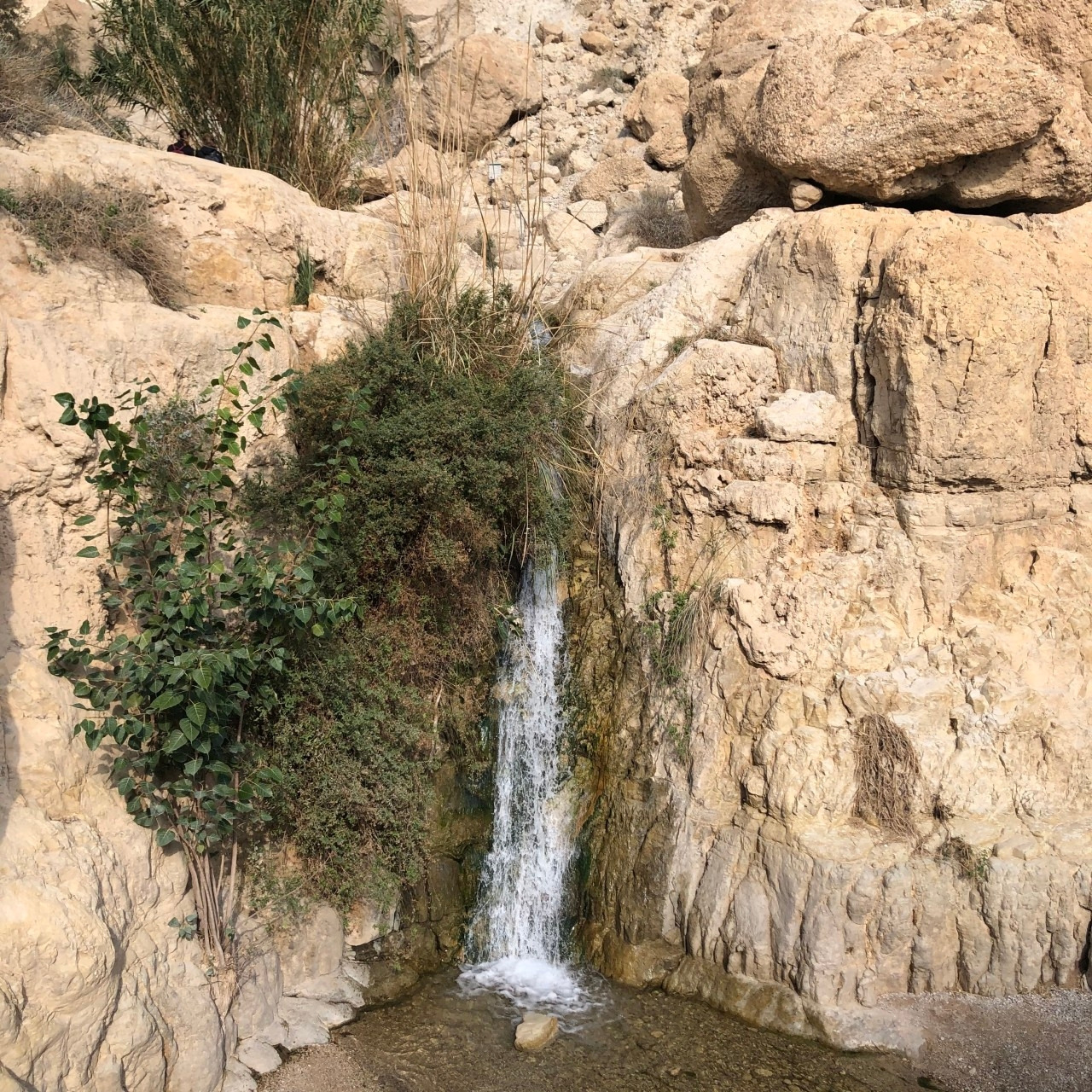 이스라엘 영성순례-전체 사진-17792090574.jpg