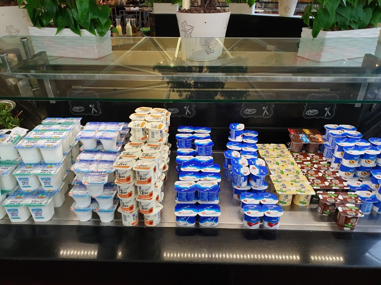 이스라엘 영성순례-여행속 사진 사해,마사다,엔게디,쿰란,요단강 세레터-17534187799.jpg