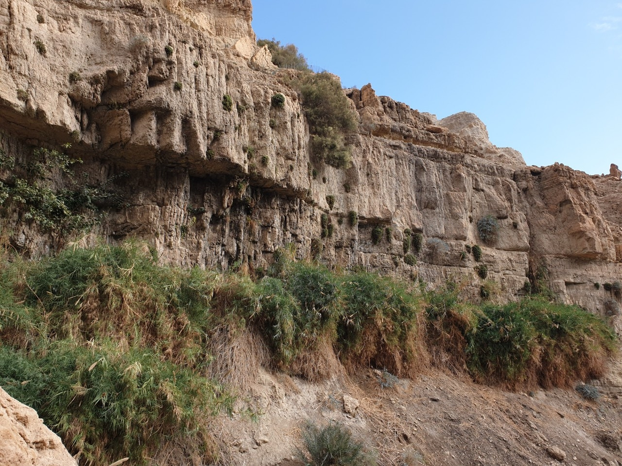 이스라엘 영성순례-전체 사진-17534187717.jpg