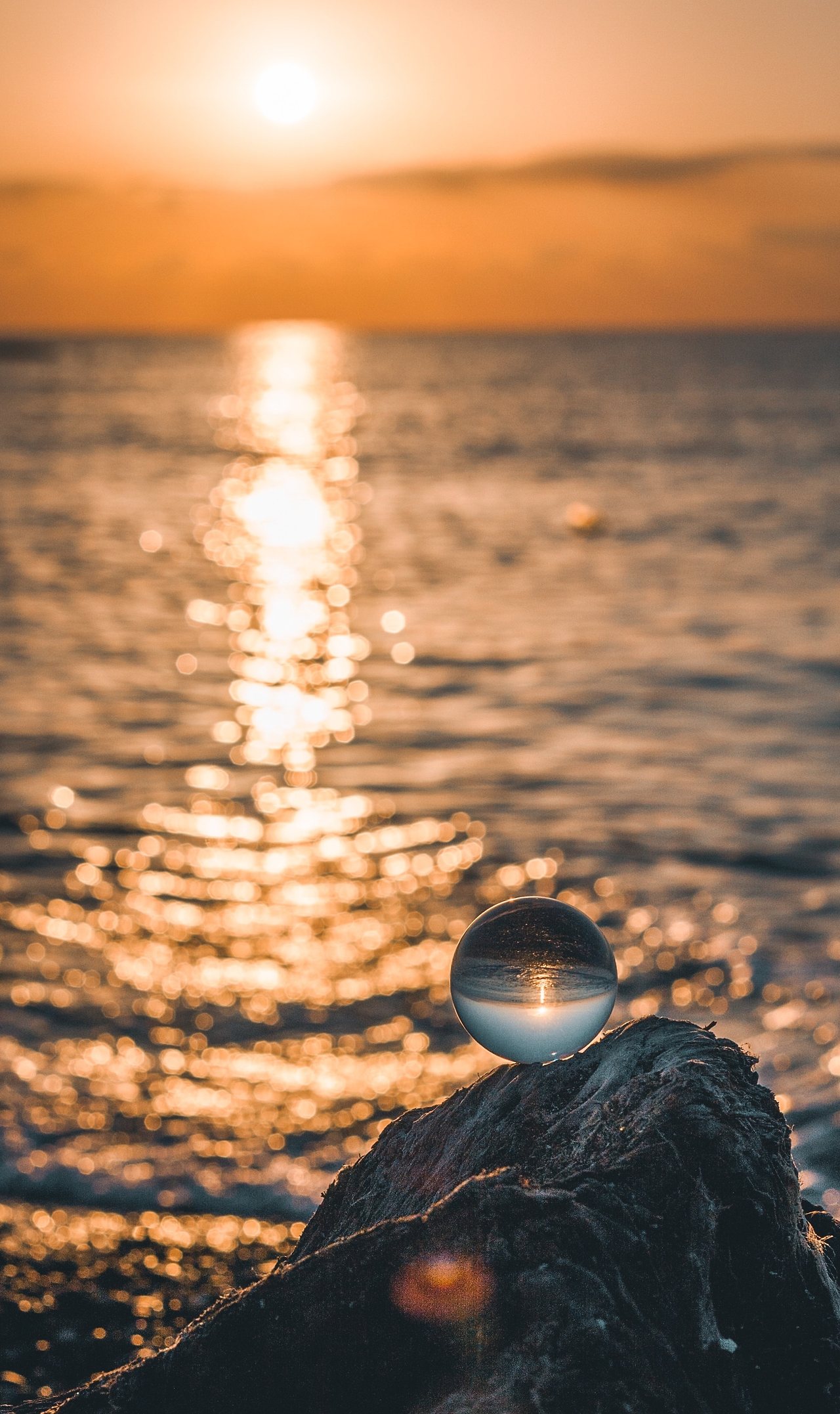 puria-berenji-9Ig-m5OXG_M-unsplash (1).jpg