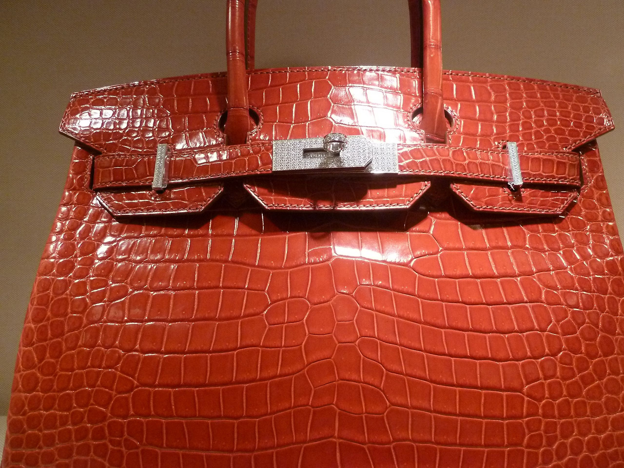 Croc_Birkin_bag.jpg
