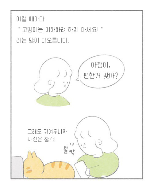 마지.jpg