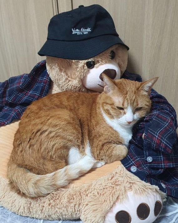 photo_2022-05-03_22-03-46 (2).jpg