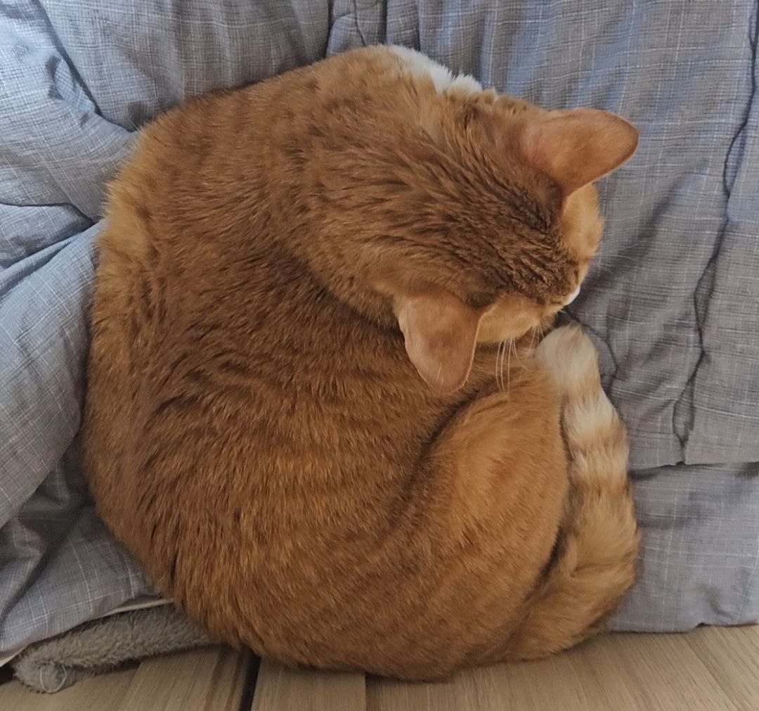 photo_2024-03-05_22-09-01 (4).jpg