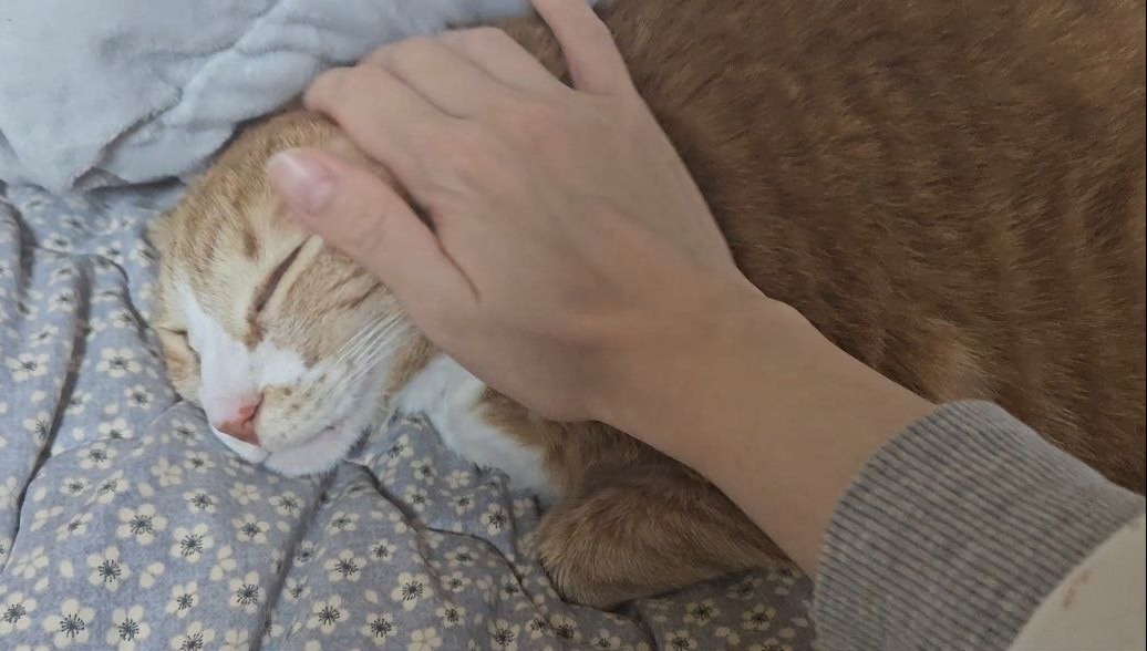 photo_2024-04-02_21-22-42 (2).jpg