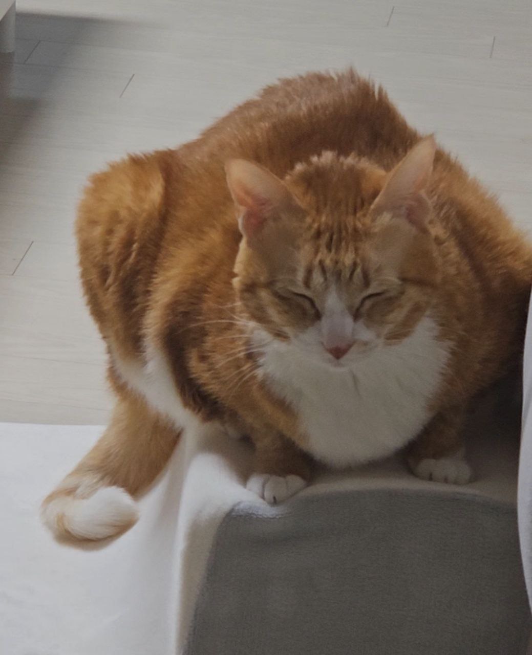 photo_2025-03-17_16-05-38 (4).jpg