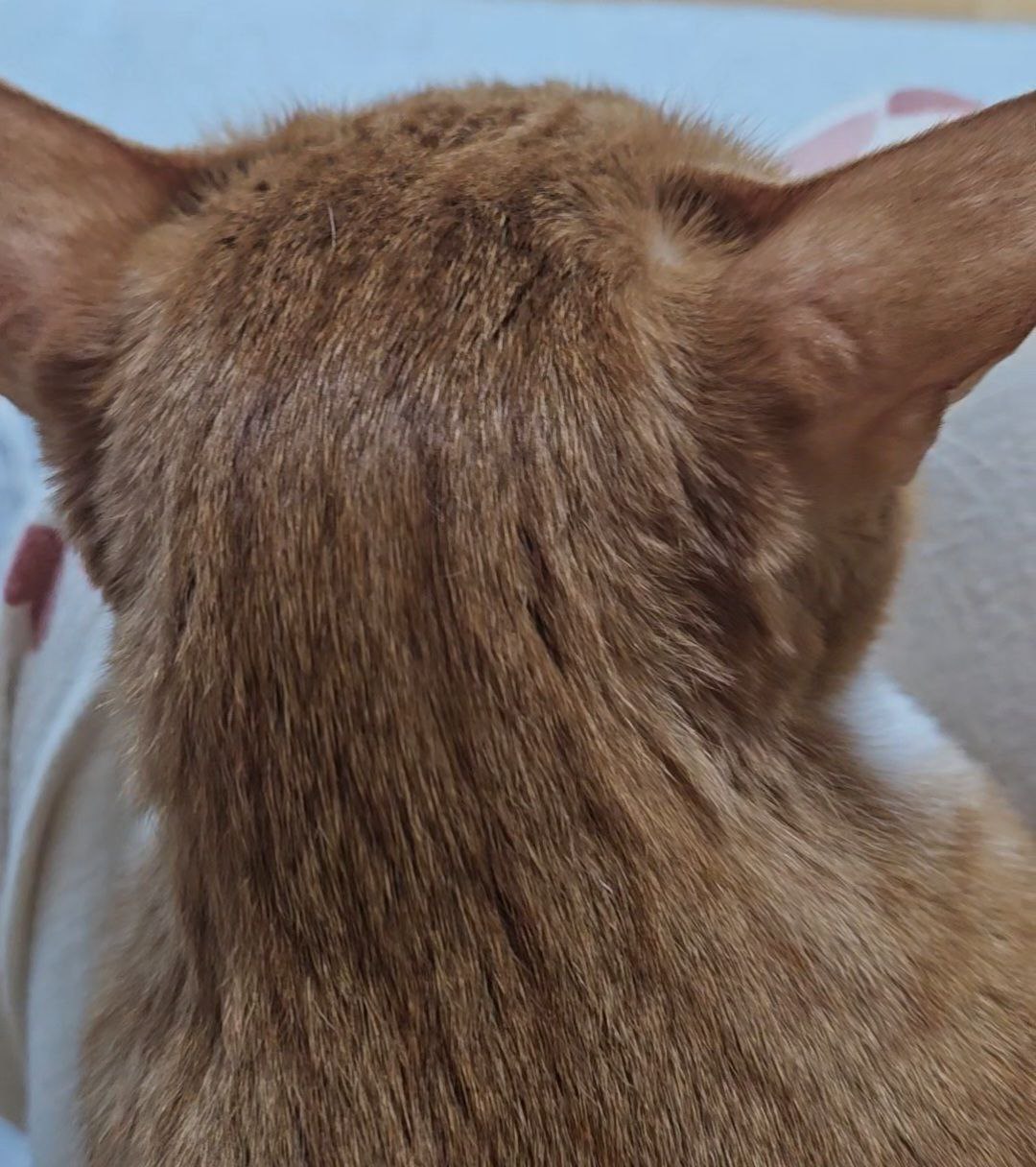 photo_2024-03-05_22-09-01 (2).jpg