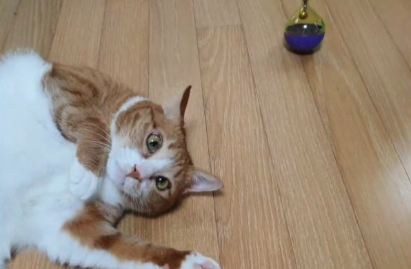 photo_2023-02-07_21-25-44 (2).jpg