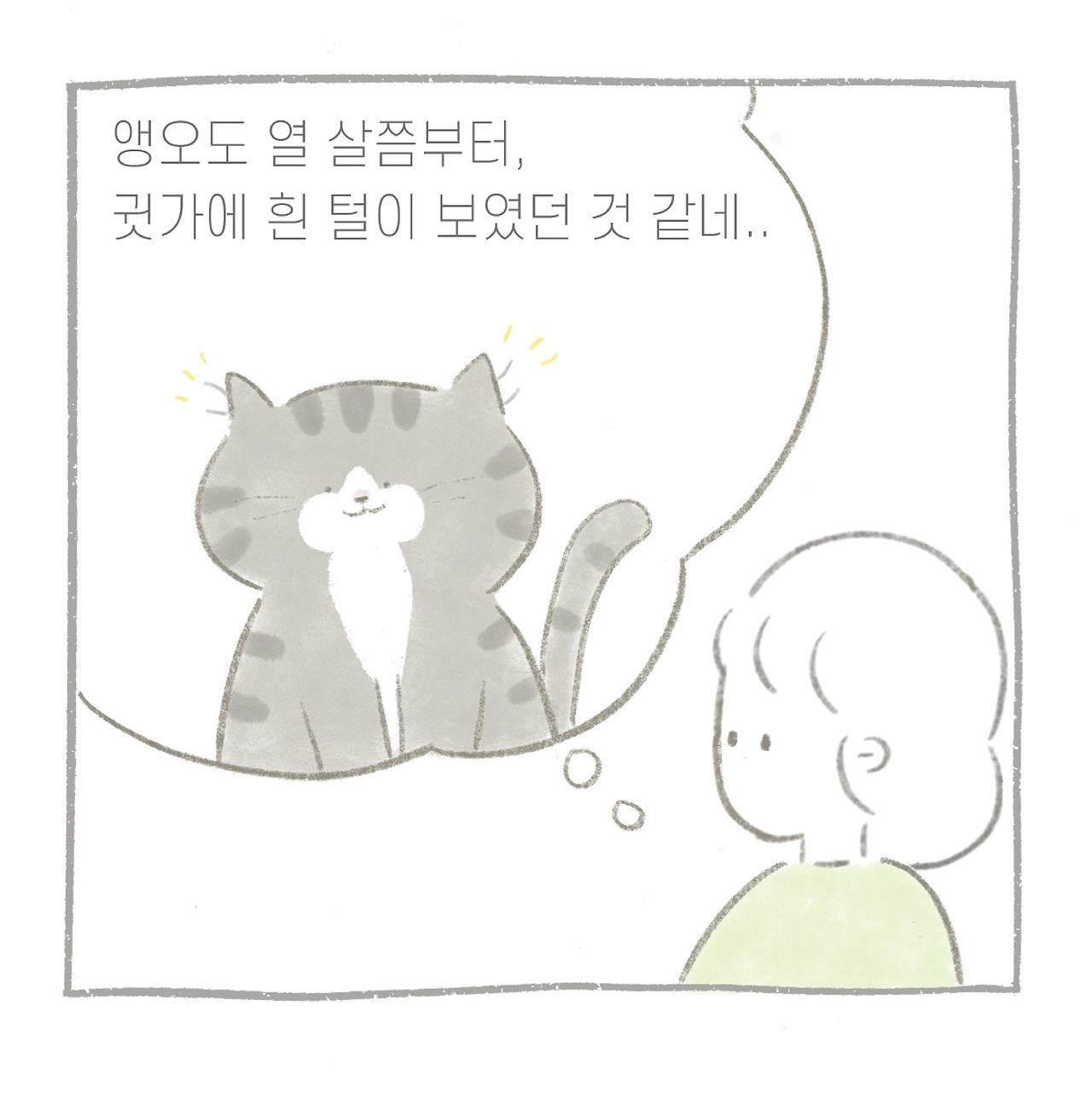 새치-09.jpg