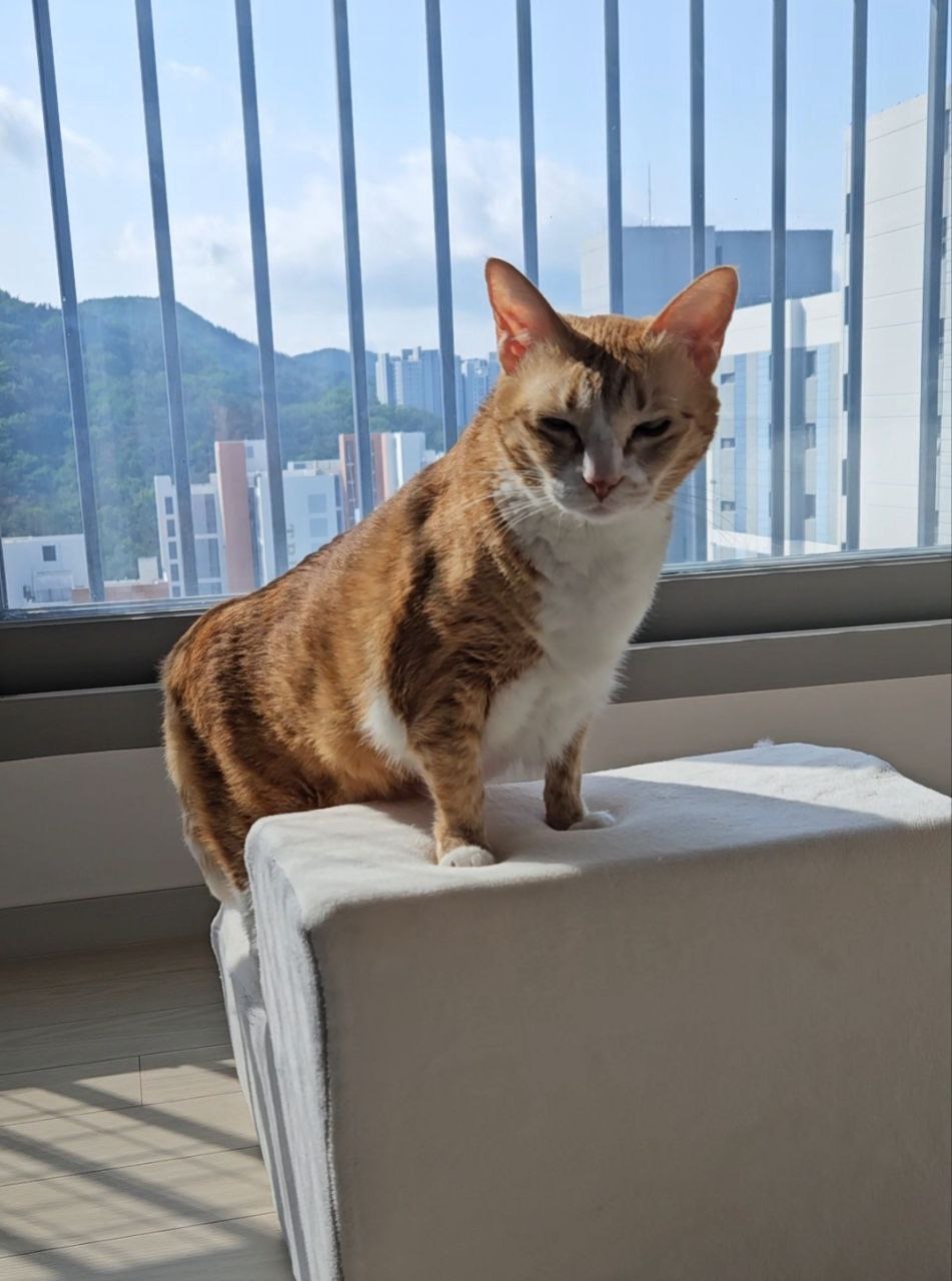 photo_2025-08-14_12-43-22 (2).jpg