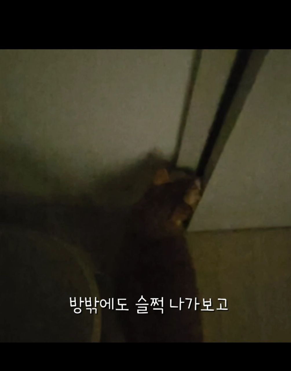 photo_2024-09-30_18-44-35 (2).jpg