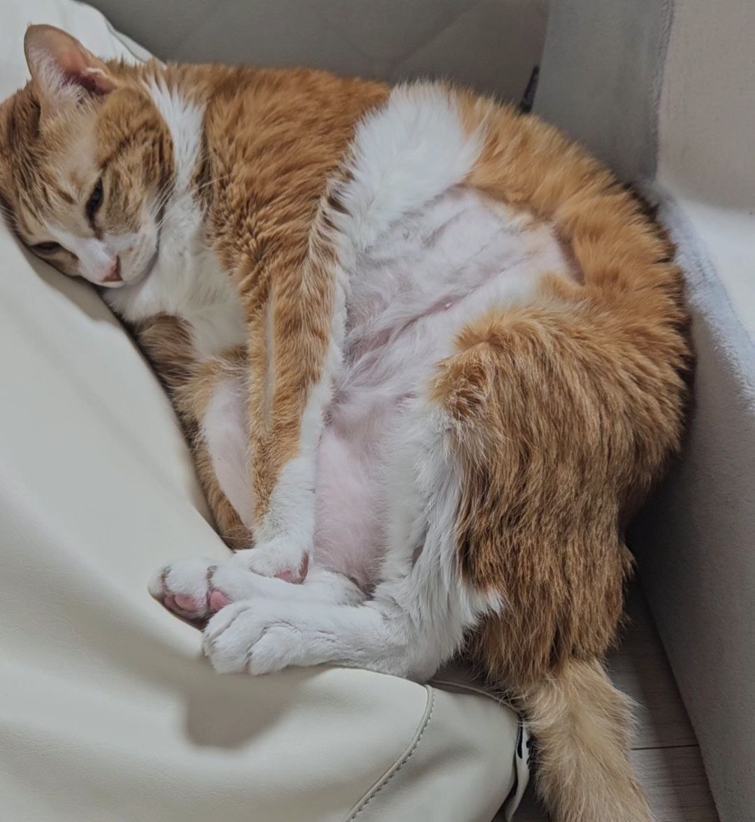 photo_2025-03-17_16-05-38 (2).jpg