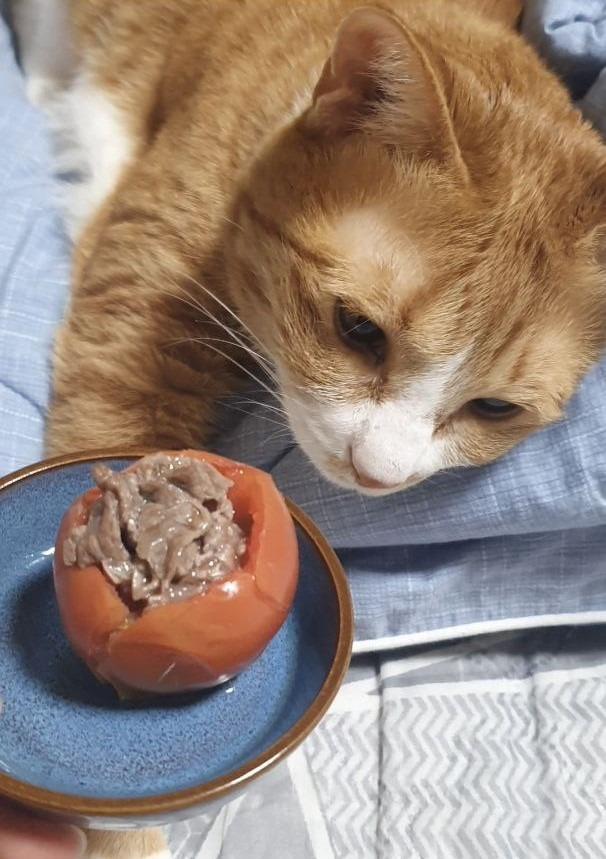 photo_2023-07-17_23-52-47 (3).jpg