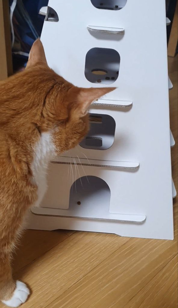 photo_2023-10-18_15-13-29 (5).jpg