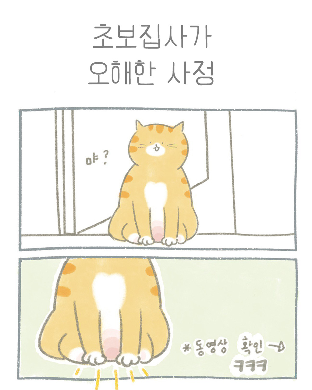 무료 카지노 게임