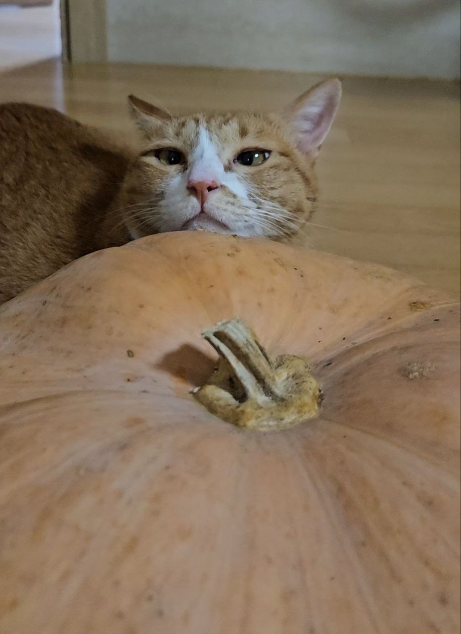 photo_2024-04-14_21-10-25 (3).jpg