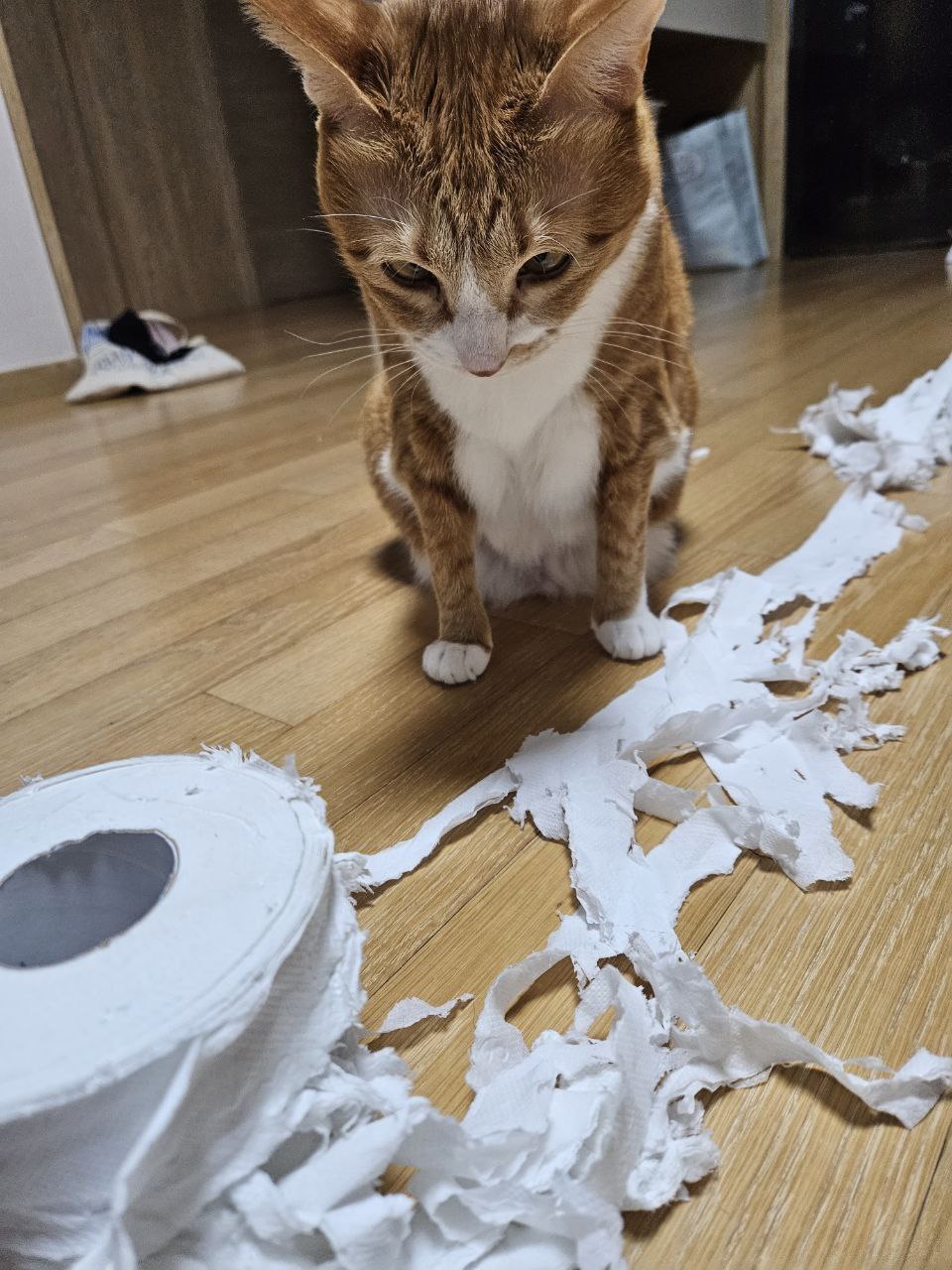 photo_2023-12-28_22-57-15 (2).jpg