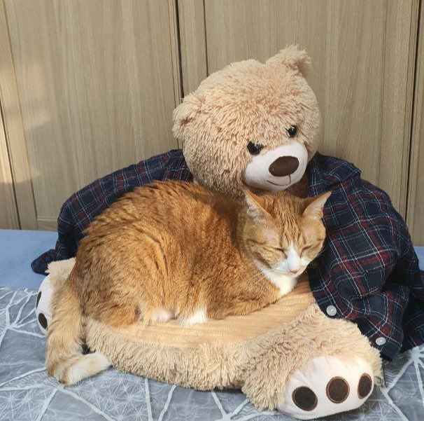 photo_2022-05-03_22-03-46 (3).jpg