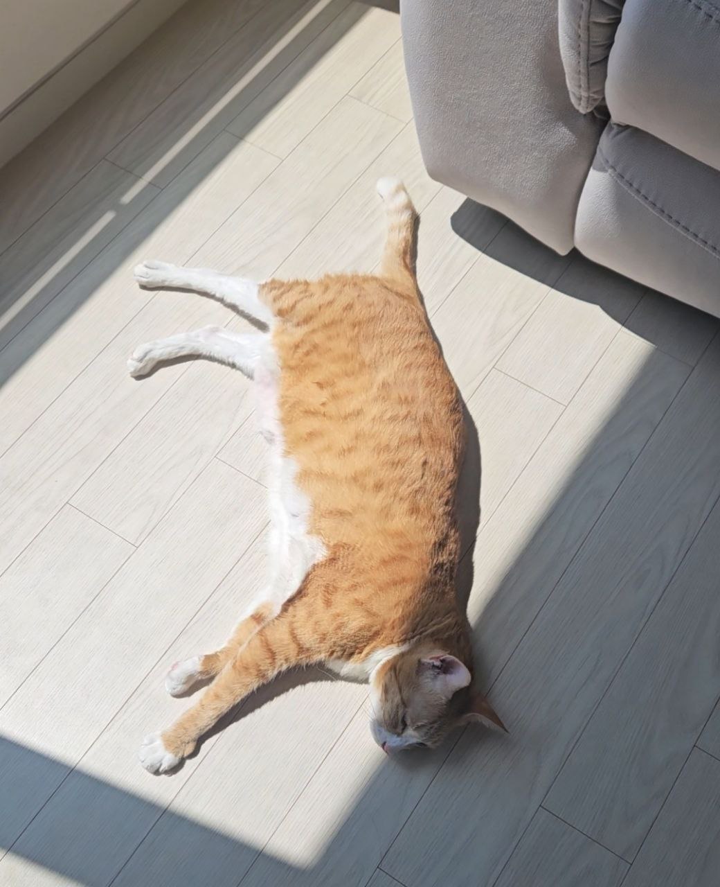 photo_2025-07-31_19-41-48 (2).jpg