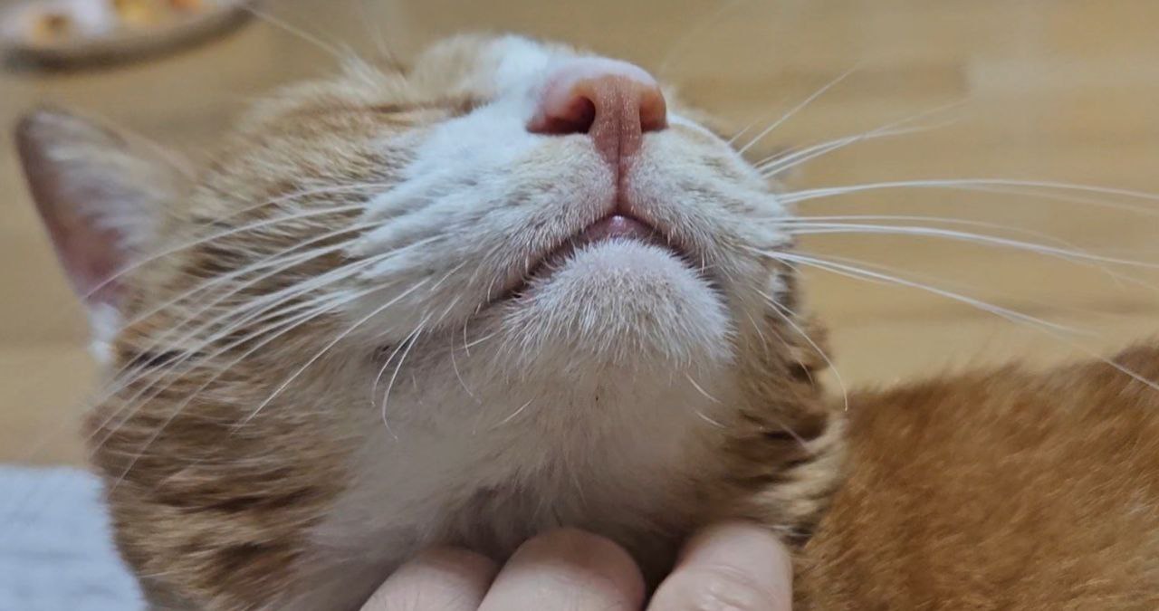 photo_2023-11-20_18-18-00 (4).jpg