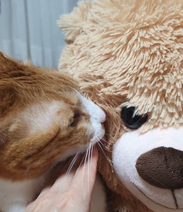 photo_2022-05-03_22-03-46 (4).jpg