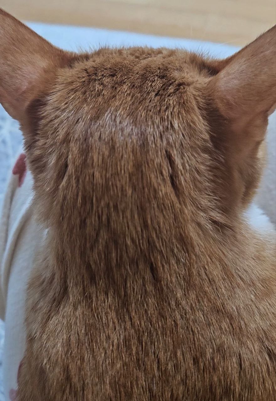 photo_2024-03-05_22-09-01 (3).jpg