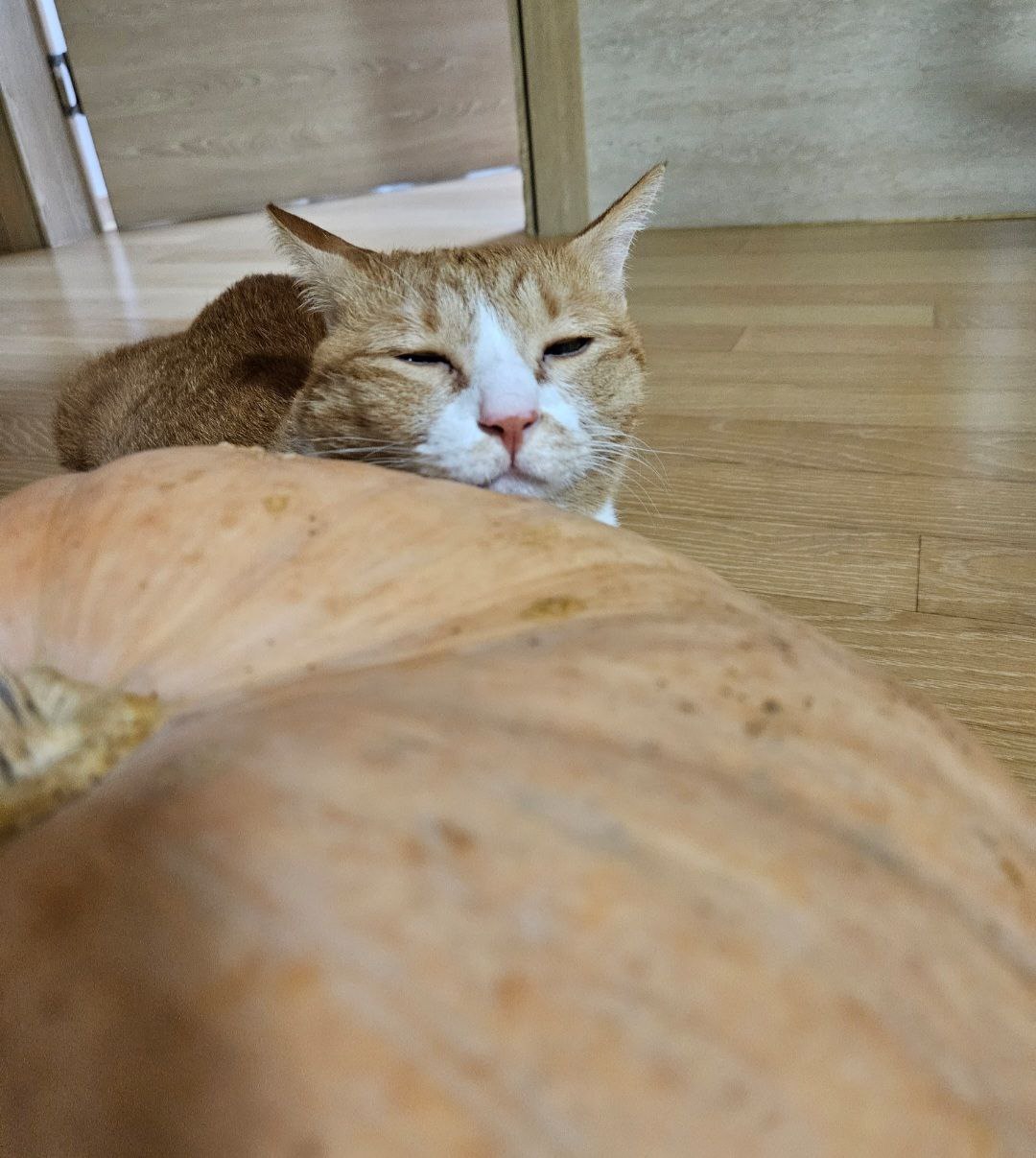 photo_2024-04-14_21-10-25 (2).jpg