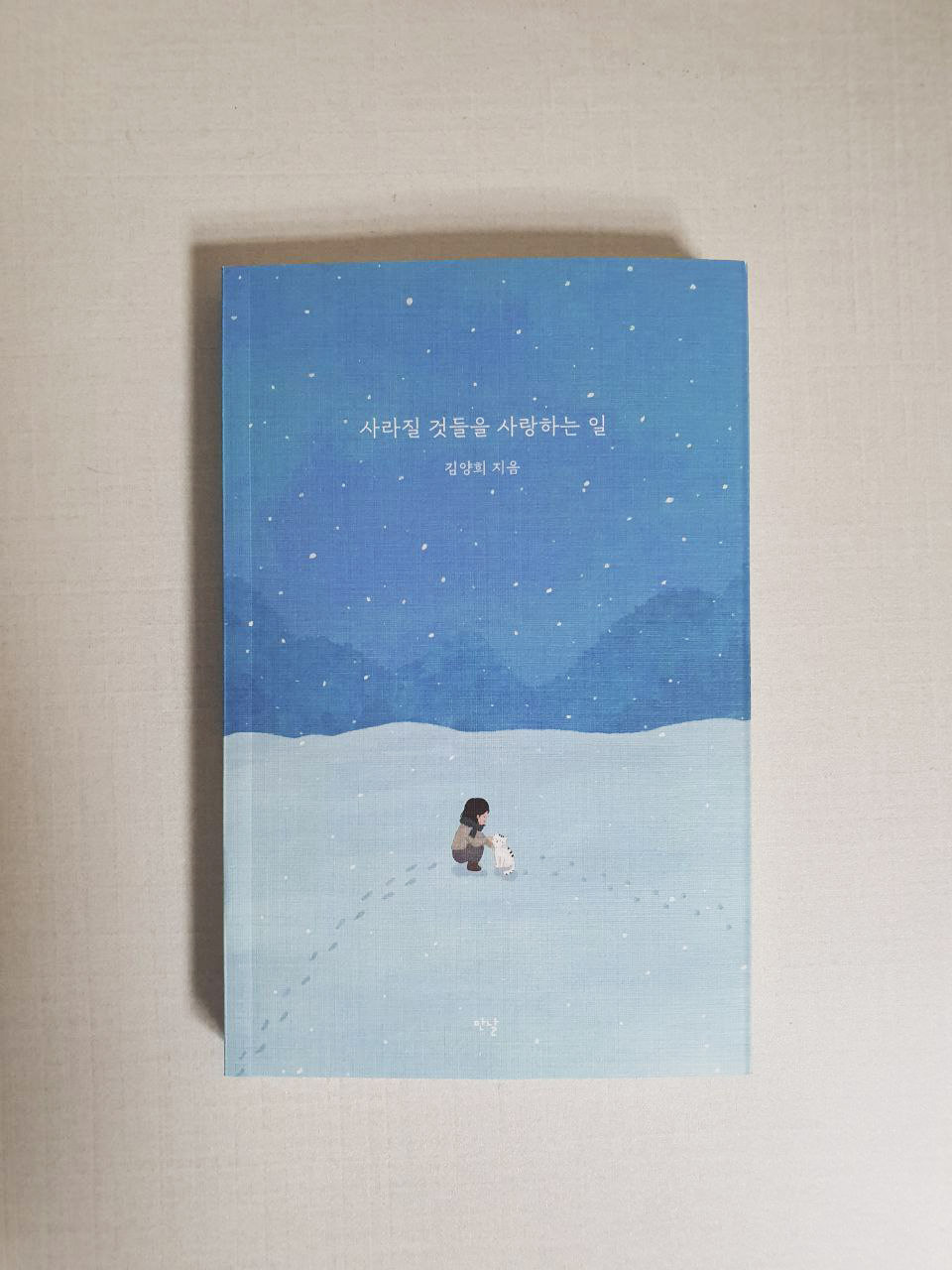 사사일 이미지5 (실사).jpg