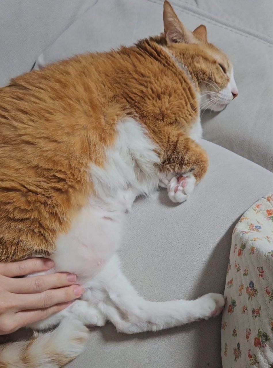 photo_2025-03-17_16-05-38 (3).jpg