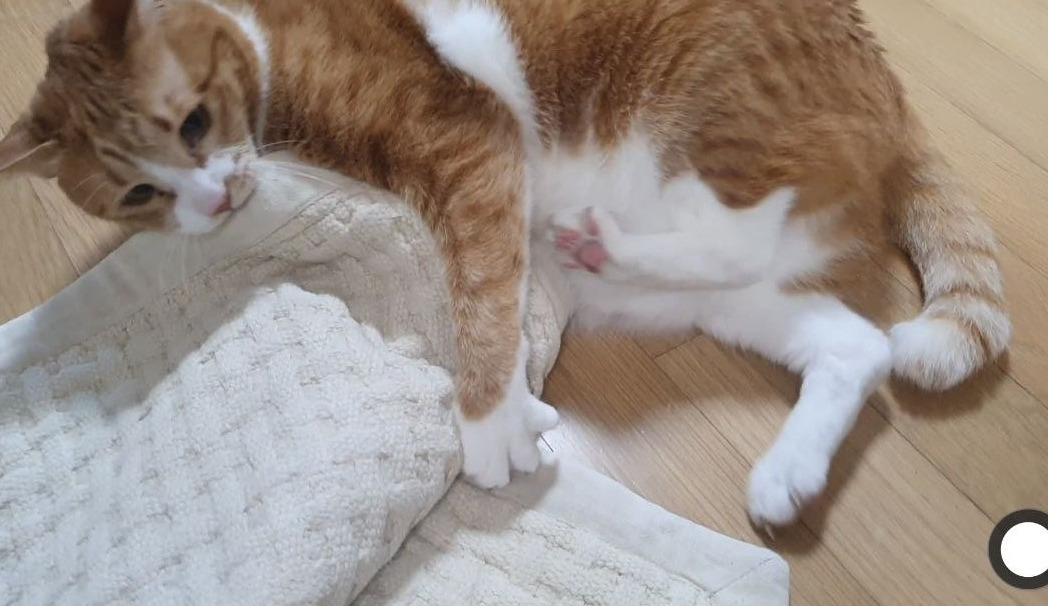 photo_2023-04-20_11-37-26 (3).jpg