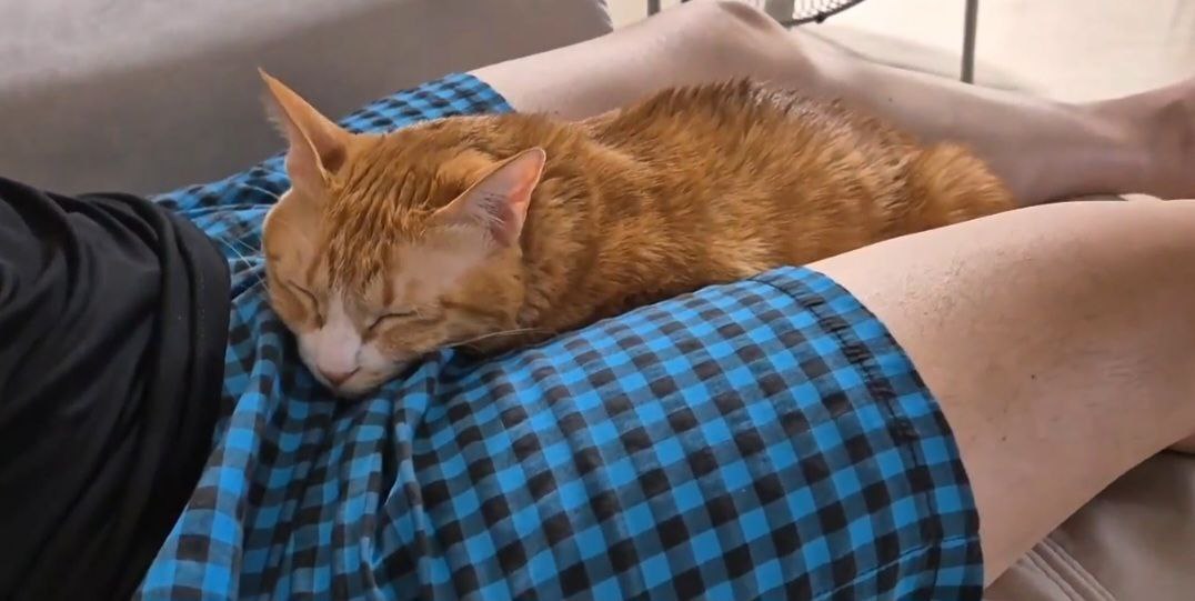 photo_2025-06-05_22-42-55 (2).jpg